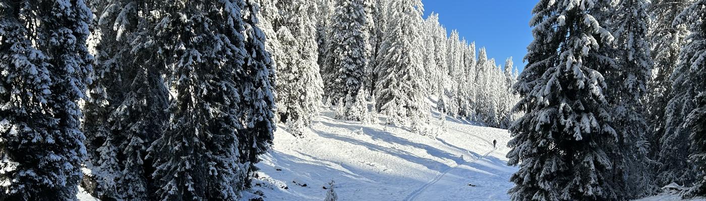 Winterliche Landschaft am Buchacker